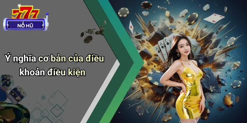 Điều Khoản Điều Kiện