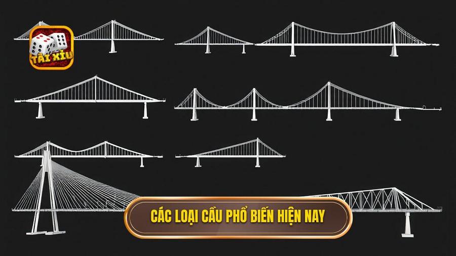 Các loại cầu phổ biến hiện nay