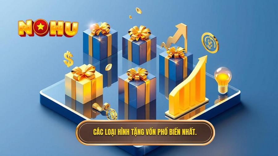 Các loại hình tặng vốn phổ biến nhất.